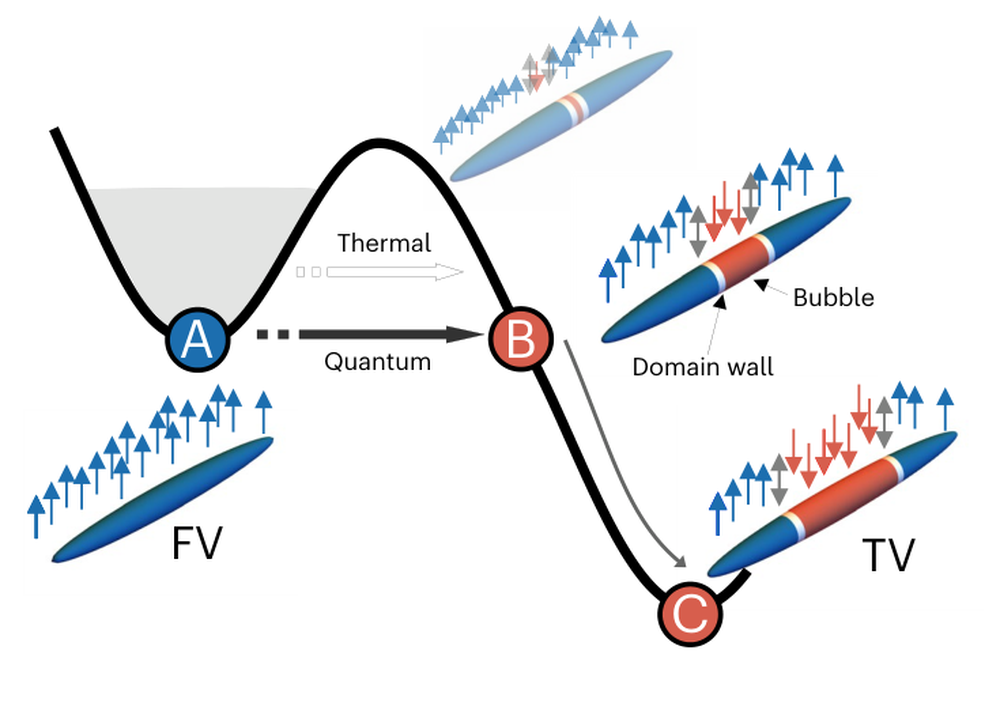 Figure de l'article : une courbe d'énergie à deux creux. Le creux de gauche, marqué FV, contient un point A ; une barrière le sépare d'un creux plus bas, marqué TV, contenant un point C. Deux flèches, l'une nommée Quantum et l'autre Thermal, mènent au point B au sommet de la barrière. À droite, des schémas du nuage d'atomes montrent l'apparition d'une bulle rouge bordée de parois de domaine.