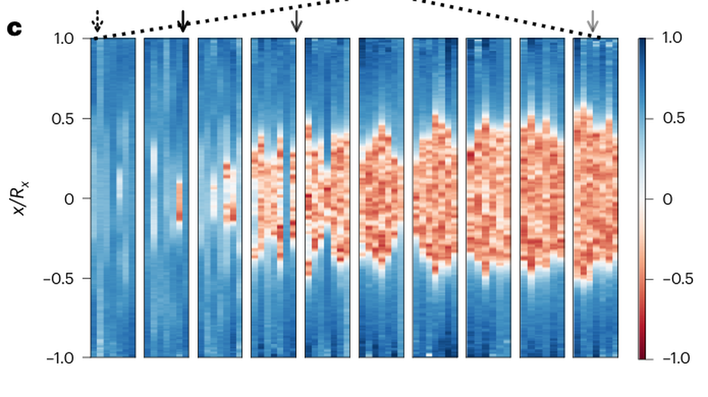 Figure de l'article : dix bandes verticales bleues représentant le nuage d'atomes après des temps d'attente croissants. Les premières sont uniformément bleues ; à partir de la troisième, une tache rouge apparaît au centre et s'élargit de bande en bande.